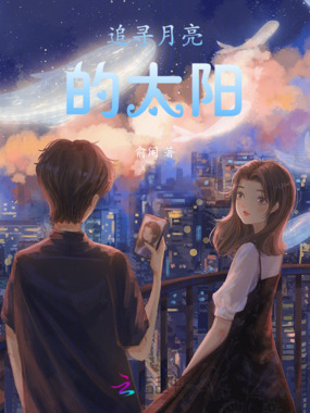 追寻月亮的太阳在线阅读