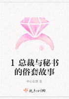 霸道總裁與秘書的俗套故事在線閱讀