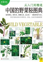 中国的野菜轻图典在线阅读