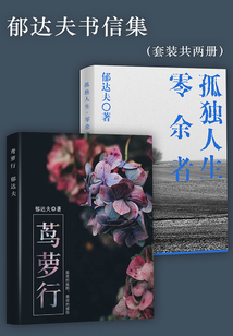 郁達夫書信集(套裝共兩冊)