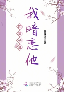四皇子說我暗戀他
