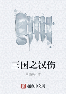 三國之漢傷