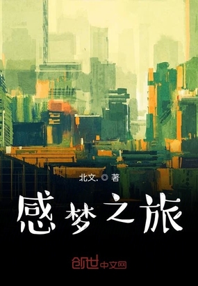 感梦之旅在线阅读