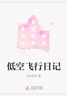 低空飛行日記