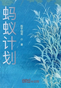 螞蟻計劃