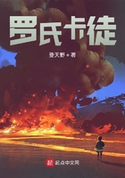 罗氏卡徒在线阅读