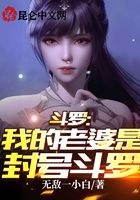斗羅：我的老婆是封號斗羅！在線閱讀