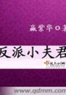 反派小夫君