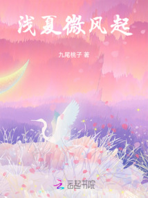 淺夏微風起