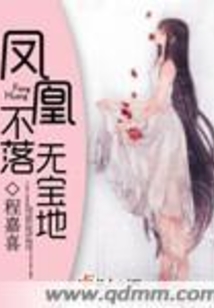 凤凰不落无宝地