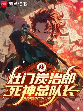 我,灶门炭治郎,死神总队长在线阅读