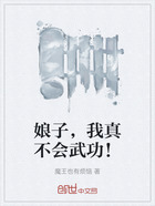 娘子,我真不会武功!在线阅读