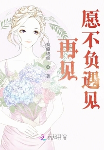 再見愿不負(fù)遇見
