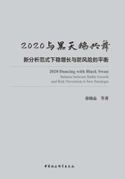 2020与黑天鹅共舞：新分析范式下稳增长与防风险的平衡在线阅读