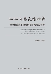 2020與黑天鵝共舞：新分析范式下穩增長與防風險的平衡