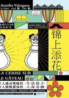 錦上添花在線閱讀