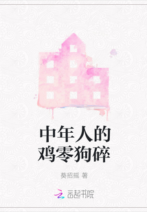 中年人的鸡零狗碎