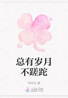 总有岁月不蹉跎在线阅读