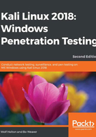 Kali Linux 2018：Windows Penetration Testing在线阅读