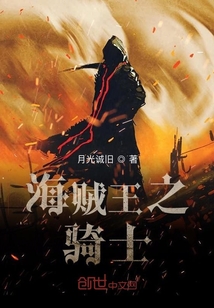 海賊王之騎士