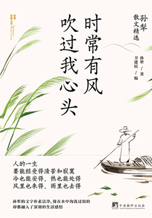 时常有风吹过我心头