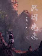 只因光来在线阅读