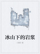 冰山下的巖漿在線閱讀