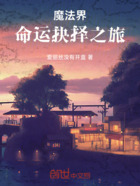 魔法界:命运抉择之旅在线阅读