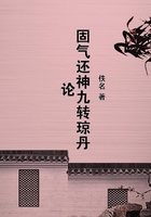 固氣還神九轉(zhuǎn)瓊丹論在線閱讀