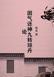 固氣還神九轉瓊丹論