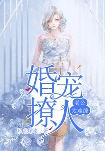 婚宠撩人：老公太难缠