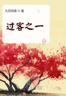 过客之一