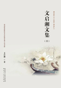 文启湘文集(三)
