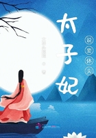 太子妃說要休夫在線閱讀