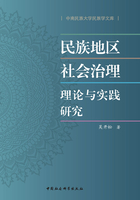 民族地区社会治理理论与实践研究在线阅读