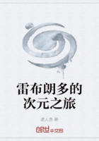 雷布朗多的次元之旅在线阅读
