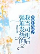 强迫发烧的我当司机后,亲戚们悔疯了在线阅读
