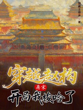 南宋：穿越赵构，开局我梭哈了在线阅读