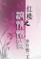 红楼之溶情惜黛在线阅读