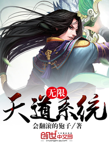 无限天道系统