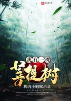 我有一棵菩提樹在線閱讀