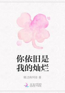 你依舊是我的燦爛
