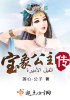 宝象公主传