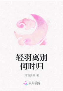 轻羽离别何时归