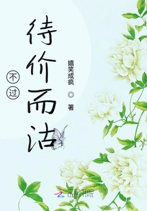 不過待價而沽