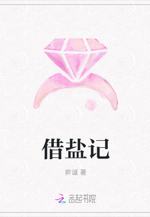 借鹽記