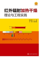 红外辐射加热干燥理论与工程实践