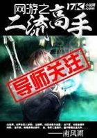网游之二流高手