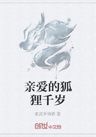 亲爱的狐狸千岁在线阅读