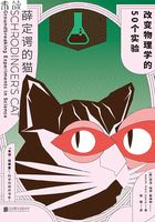 薛定谔的猫：改变物理学的50个实验